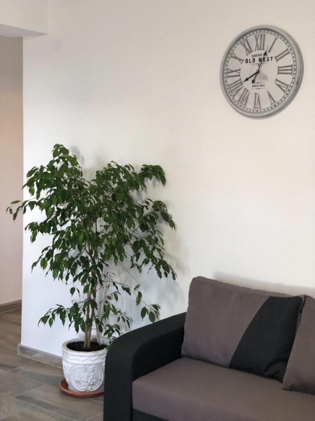 Apartments Milja - 10 M From Sea Мандре Екстериор снимка